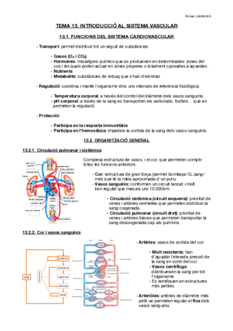 Apunts-Fisiologia-i-Fisiopatologia-II-Tema-13.pdf
