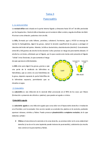Tema-3-Pancreatitis.pdf