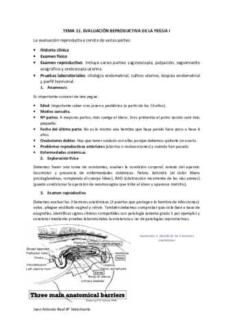 Tema-11.pdf