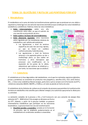 TEMA-15-Bioquimica.pdf