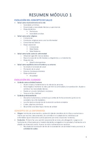 RESUMEN-MODULO-1.pdf