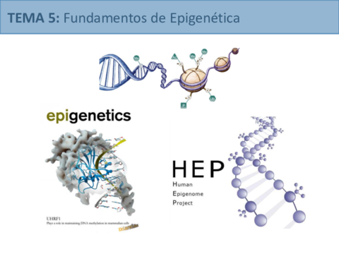 Tema5.pdf