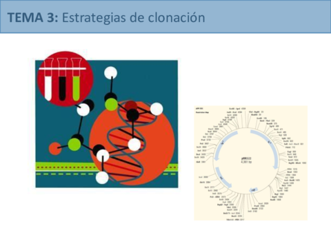 Tema3.pdf