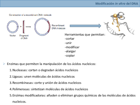 Tema2segundaparte.pdf