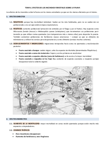 TEMA6.pdf