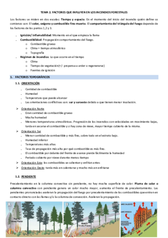 TEMA2.pdf