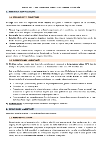 TEMA5.pdf