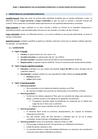 TEMA1.pdf