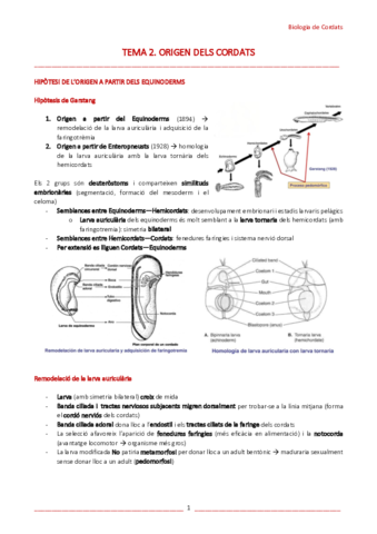 T2-Origen-dels-cordats.pdf