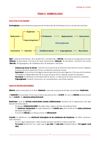 T5-Embriologia.pdf