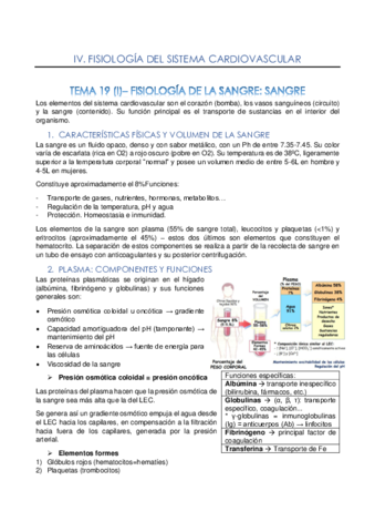 Tema-19-Fisiologia-de-la-sangre-converted-1.pdf