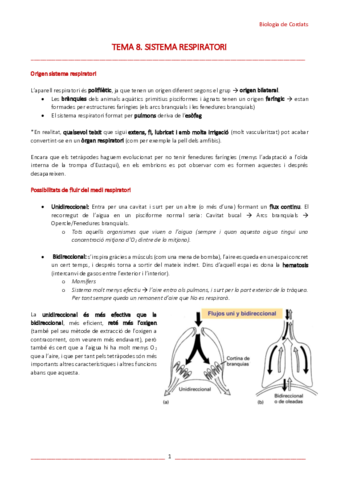T8-Sistema-respiratorio.pdf
