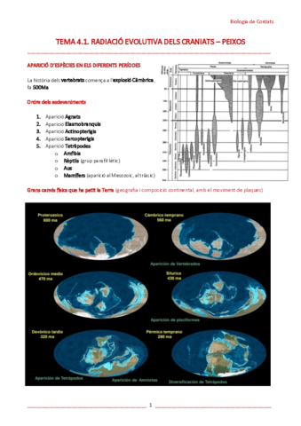 T4-1-Radiacio-evolutiva-dels-craniats-Peixos.pdf