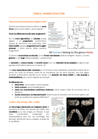 T6-Human-evolution.pdf