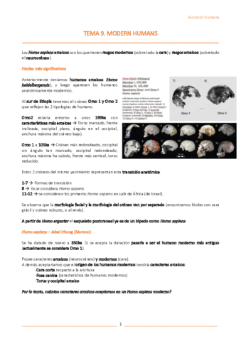 T9-Modern-humans.pdf