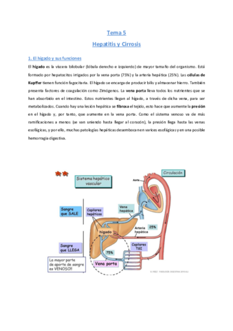 Tema-5-Hepatitis-y-cirrosis.pdf