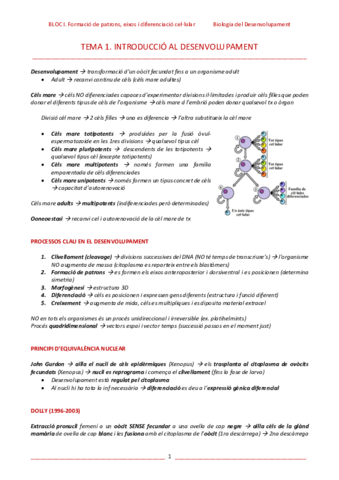 T1-Introduccio-al-desenvolupament.pdf