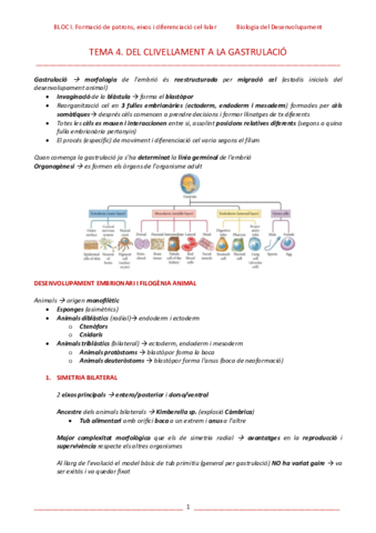 T4-Del-clivellament-a-la-gastrulacio.pdf
