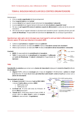 T6-Biologia-molecular-dels-centres-organitzadors-esq.pdf