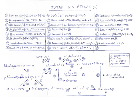 Rutas-sinteticas-I.pdf