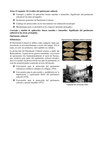 tema-paco-4.pdf