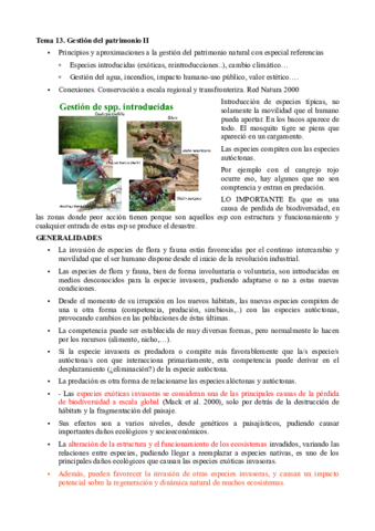 tema-paco-3.pdf