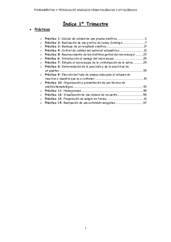 Practicas.pdf
