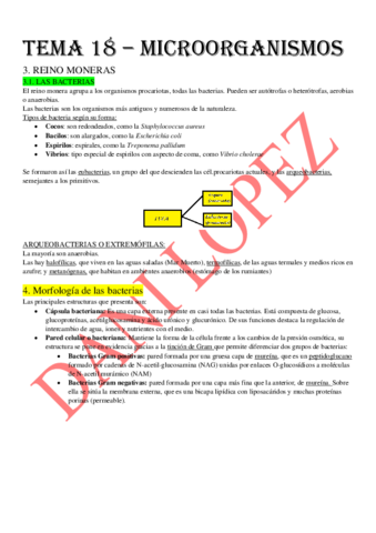 Apuntes-bio-3-evau-17182021-el-19-nos-dijo-q-no-entraba.pdf