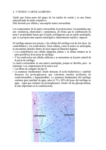 TEJIDO-CARTILAGINOSO-pdf-.pdf