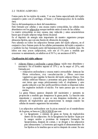 TEJIDO-ADIPOSO-pdf.pdf