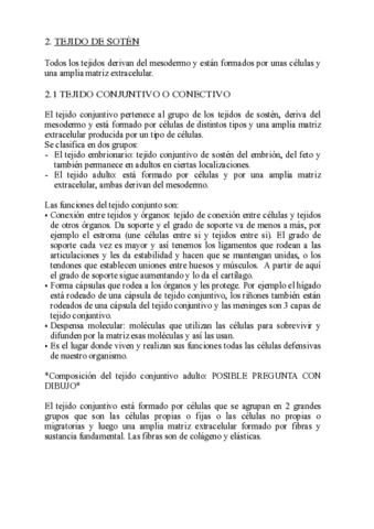 TEJIDO-CONJUNTIVO-pdf-.pdf