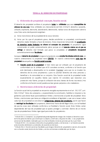 TEMA 6. EL DERECHO DE PROPIEDAD.pdf
