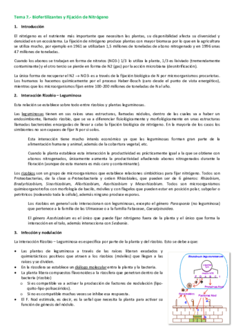 Tema-7.pdf