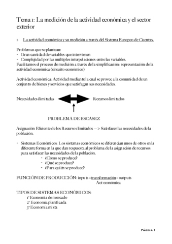 TEMA-1-EEM.pdf