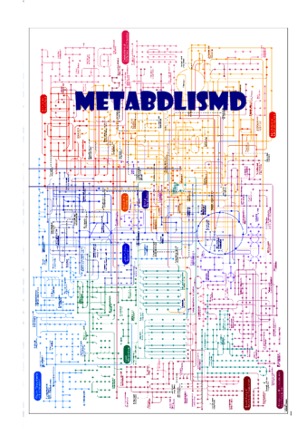 RESUMEN-METABOLISMO.pdf