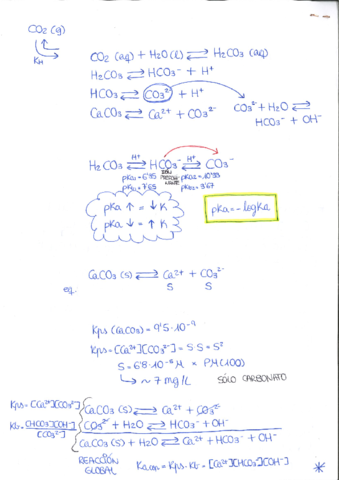 Sistema-CO2-Carbonato.pdf