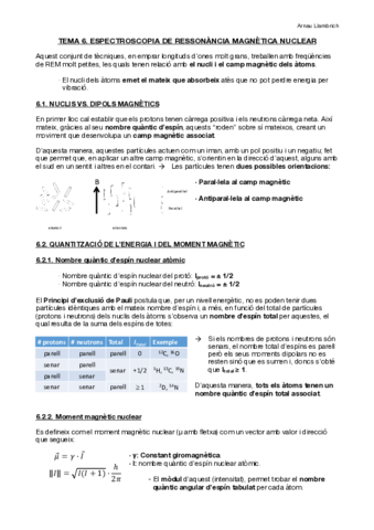 Apunts-Tecniques-Instrumentals-Tema-6.pdf