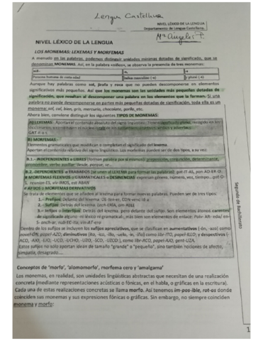 Texto-argumentativo.pdf