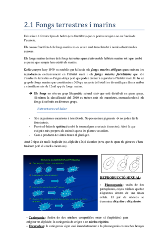 botanica-miniexamen-2-hasta-el-2.pdf