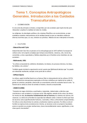 Tema-1-Transculturales.pdf