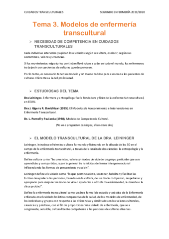 Tema-3-Transculturales.pdf