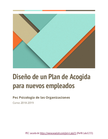 PEC-Organizaciones.pdf