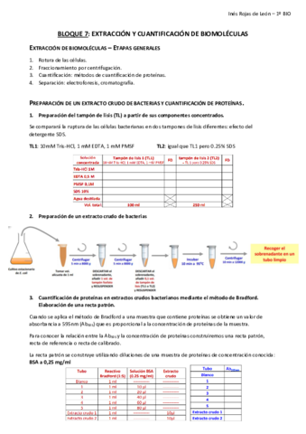 BLOQUE-7.pdf