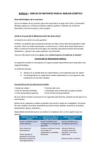 BLOQUE-I.pdf