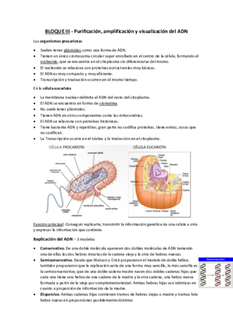 BLOQUE-III.pdf