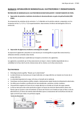 BLOQUE-8.pdf
