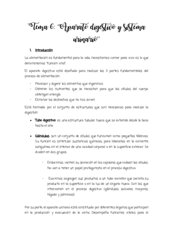 Tema-6.pdf