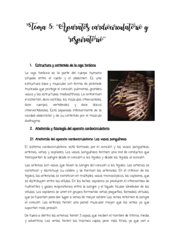 Tema-5-.pdf