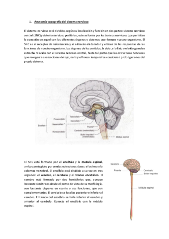 Tema-4-SNC-.pdf
