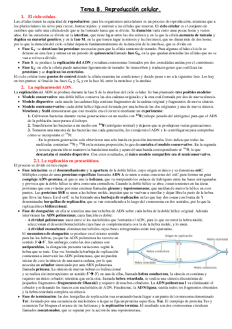 Tema-8.pdf